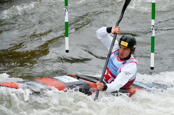 Grigar zlatý, Mirgorodský strieborný, Mintálová bronzová