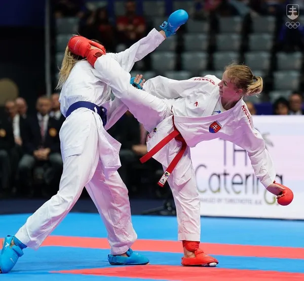 Ingrida Bakoš-Suchánková, karate