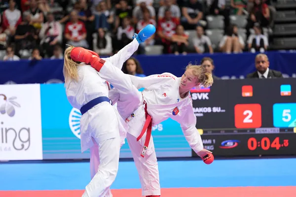 Ingrida Bakoš-Suchánková, karate
