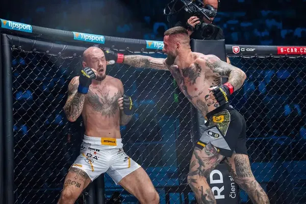 Vlastislav Čepo, MMA