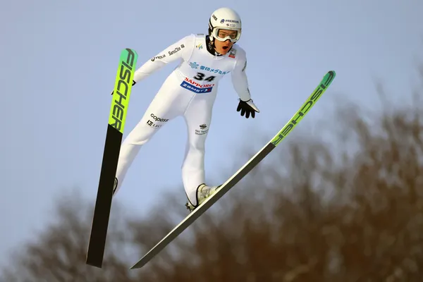 Hektor Kapustík, skoky na lyžiach
